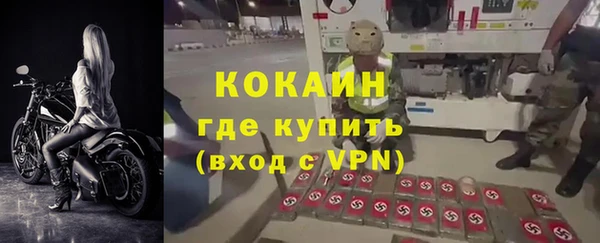 мет Алексин
