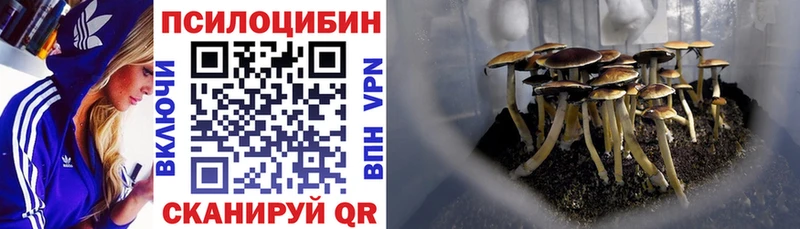 Псилоцибиновые грибы ЛСД  хочу наркоту  Новоульяновск 